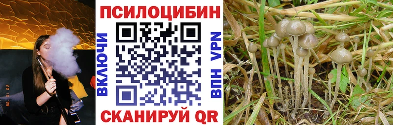 Галлюциногенные грибы GOLDEN TEACHER наркошоп Тавда